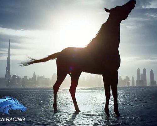 Dubai Racing