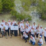 Sustainable Mangrove Forest