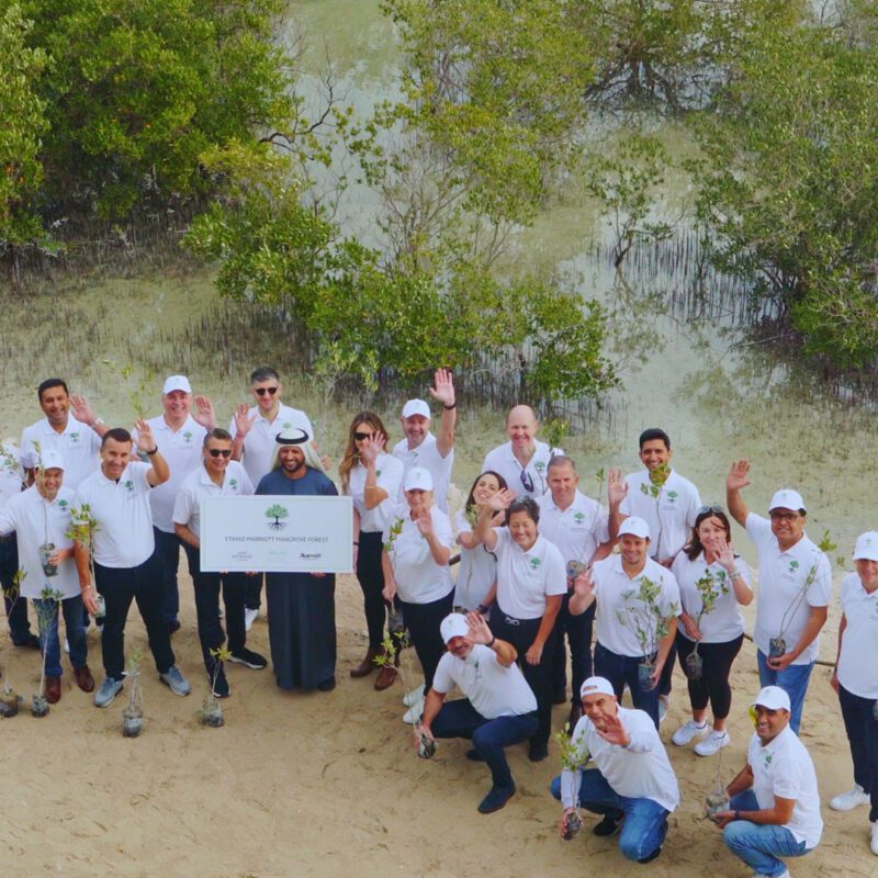 Sustainable Mangrove Forest