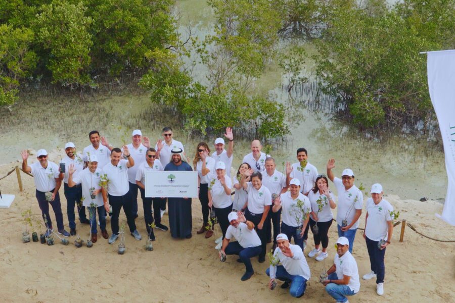 Sustainable Mangrove Forest