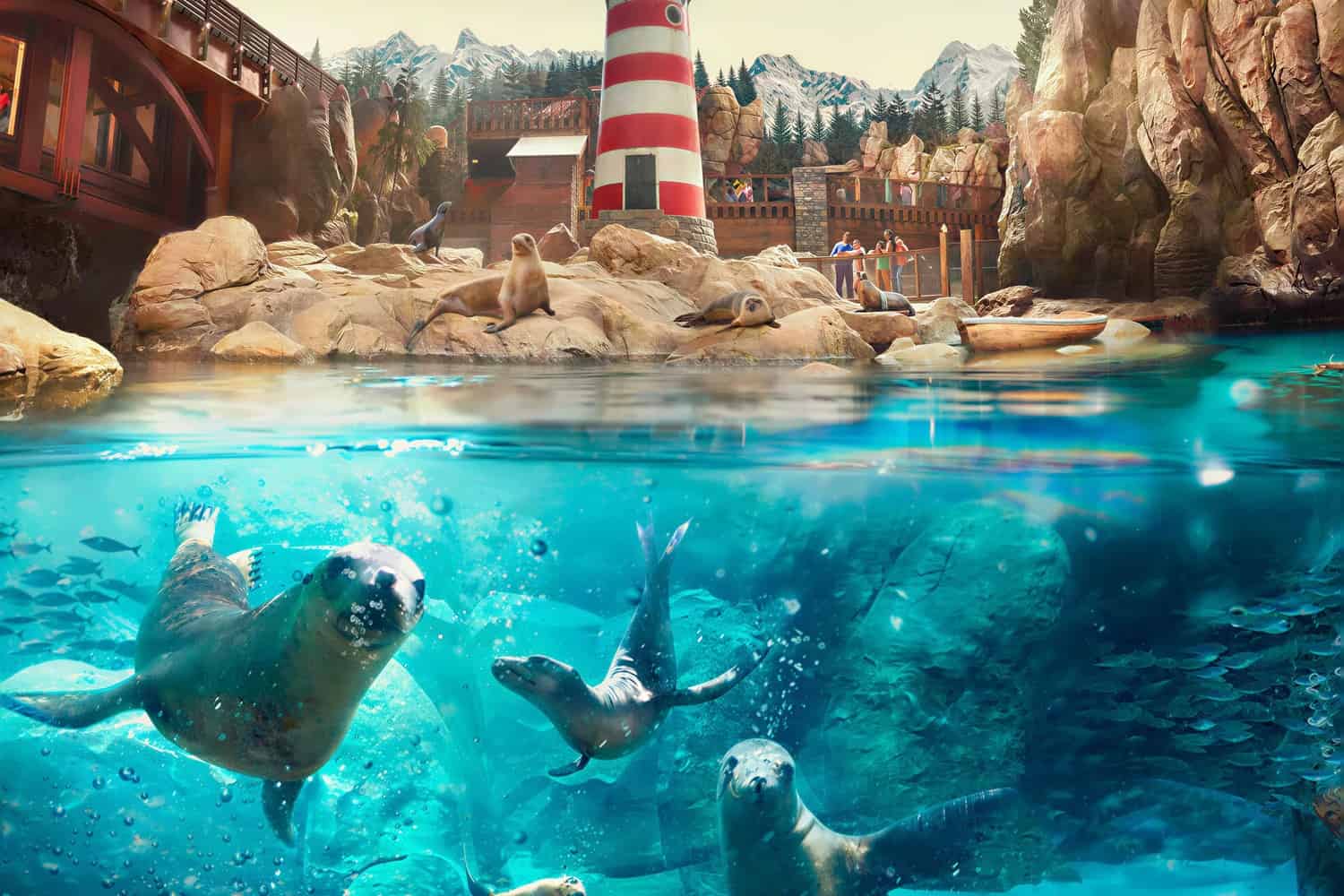 SeaWorld AbuDhabi