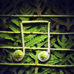Music and the Elements