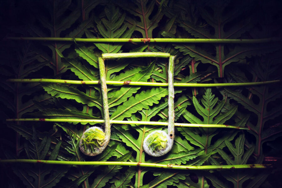 Music and the Elements