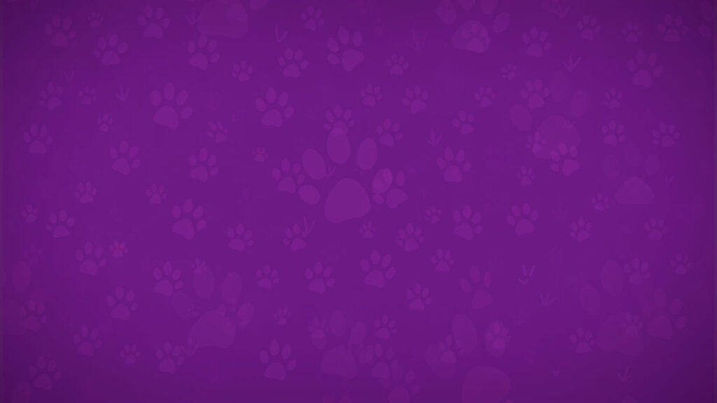 PetCentral Sonic Identity