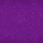 PetCentral Sonic Identity