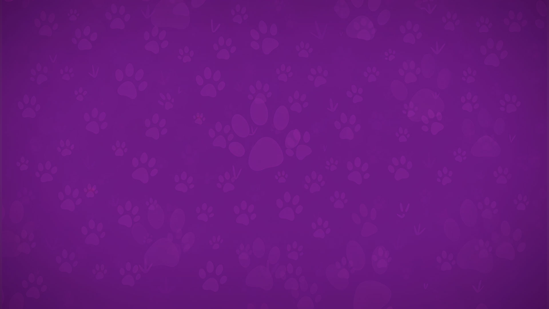 PetCentral Sonic Identity