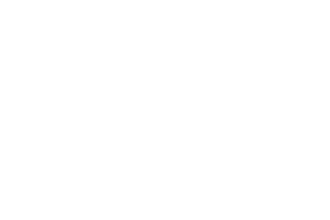 National Development Fund logo