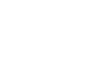TikTok logo