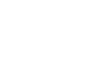 Saudi Vision 2030 logo