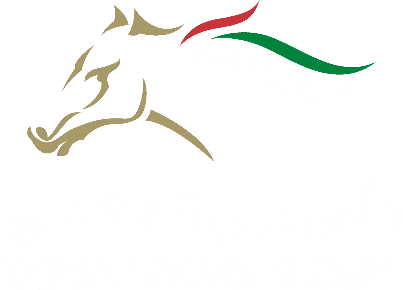 Dubai World Cup Logo