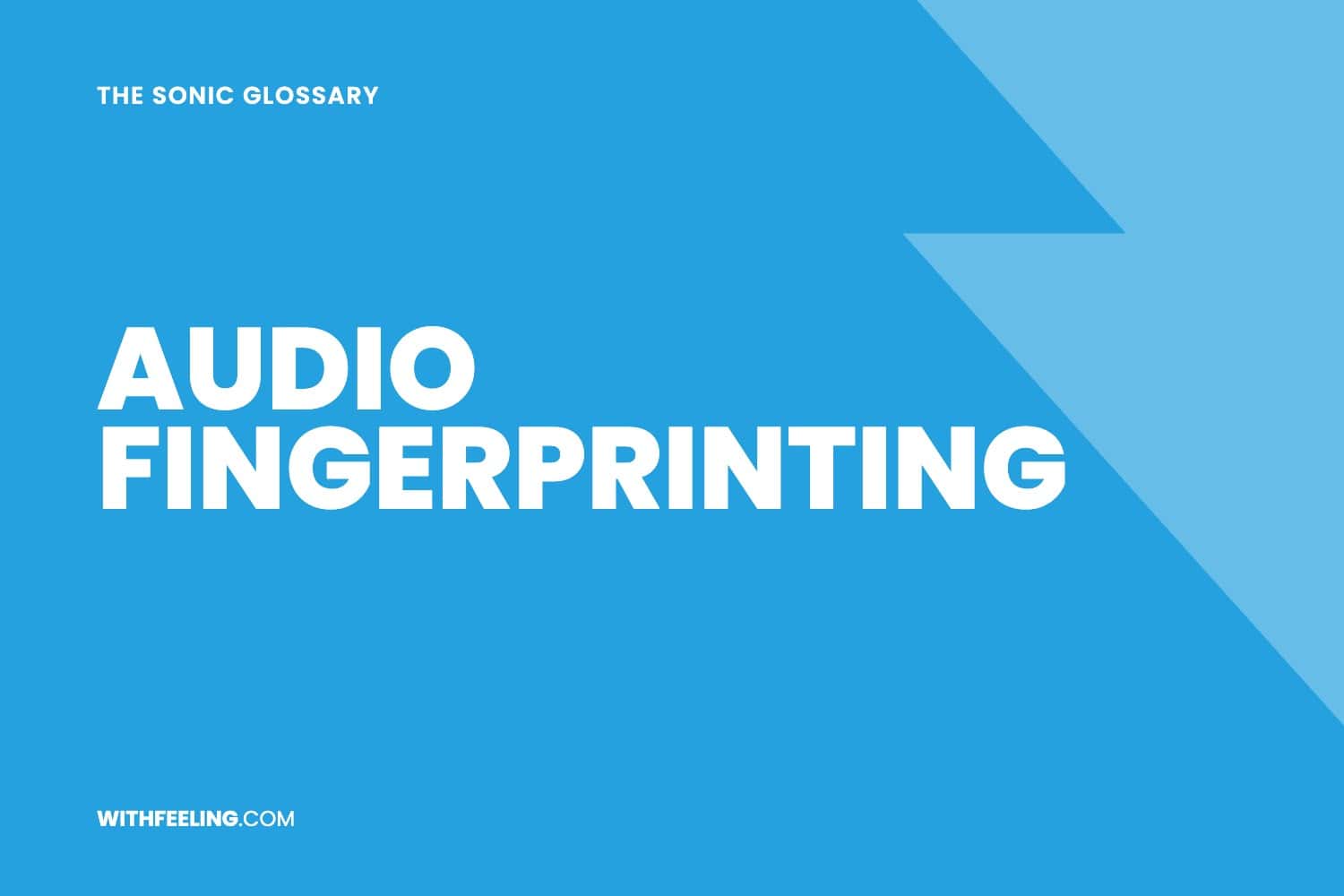 Audio Fingerprinting explained in the WithFeeling sonic branding glossary
