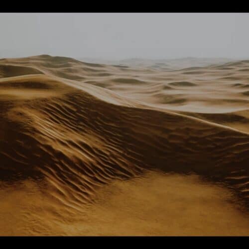 Sunlit desert dunes with soft ridges, from the Etihad and Marriott Mangrove Forest film